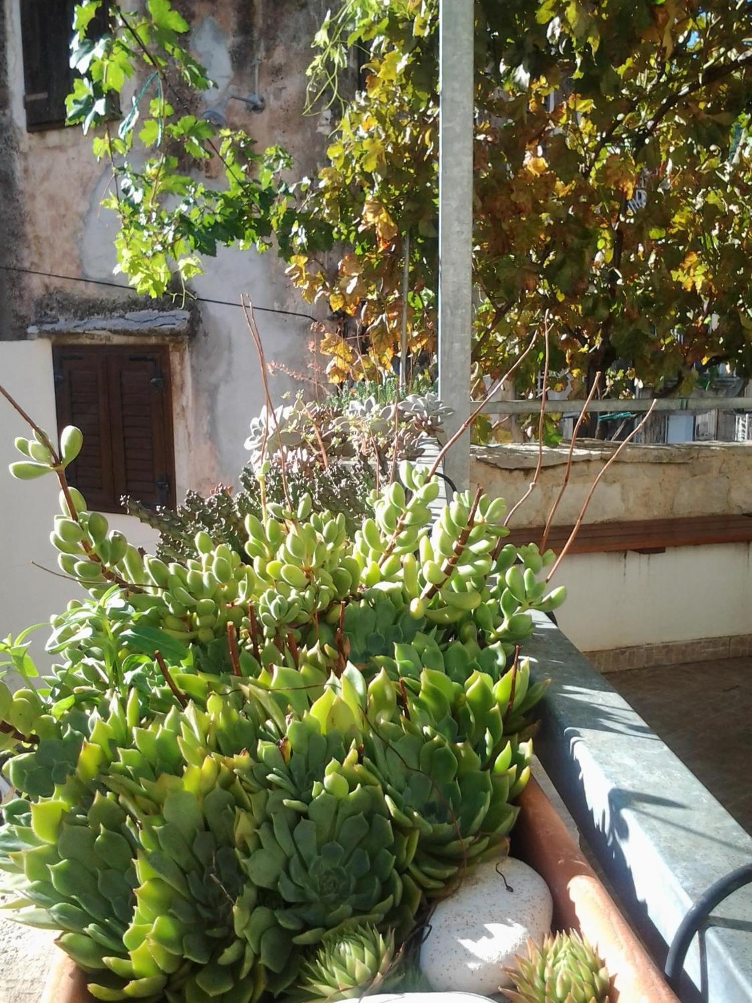 Apartament Donika *