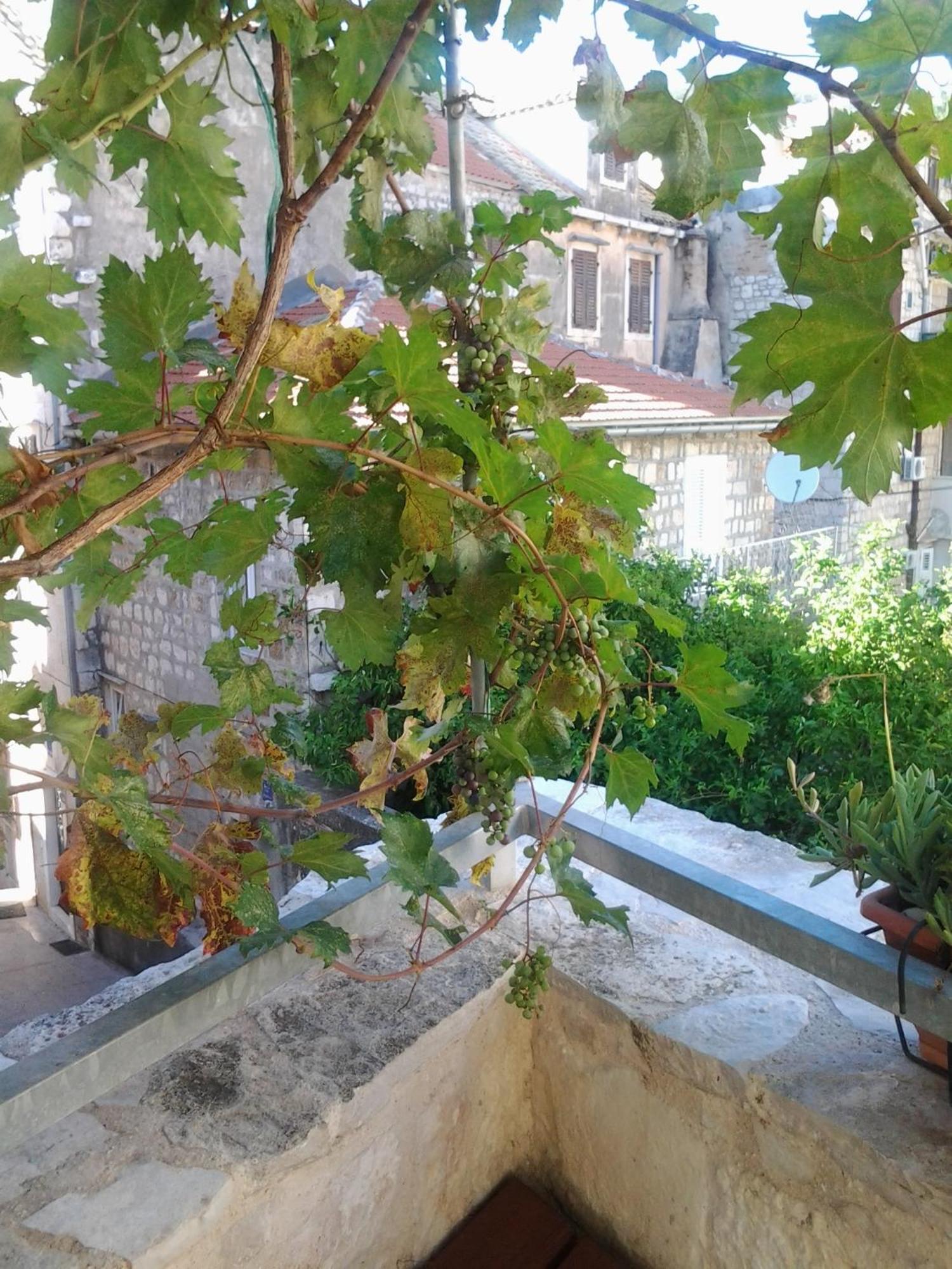 Apartment Donika Komiza